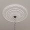 Ekena Millwork Palmetto Ceiling Medallion (Canopies up to 7 5/8"), 31 1/2"OD x 3 5/8"ID x 1 3/4"P, Primed White CM31PM - alternate 10